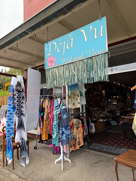 ハワイ島ローカルタウンの土産物屋 2