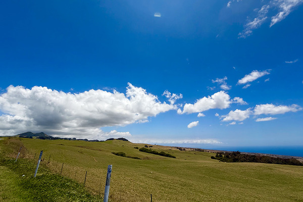 コハラの峠道は最高です 4