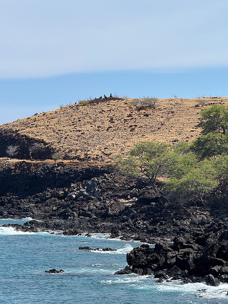 ハワイ島航海の学校だった遺跡 5