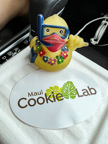 cookielab 8