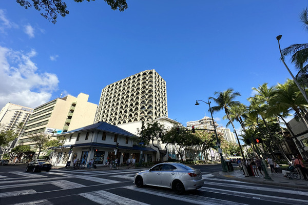カリアロードのハートの木 7