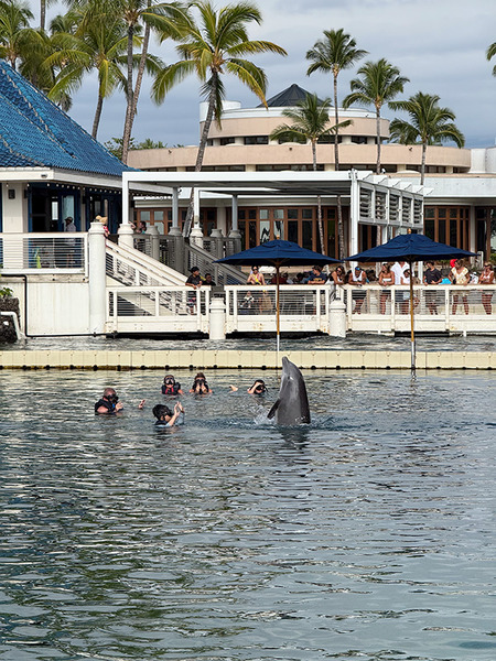 ヒルトンワイコロアビレッジ 6