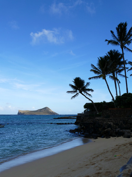 kaionabeachpark 8
