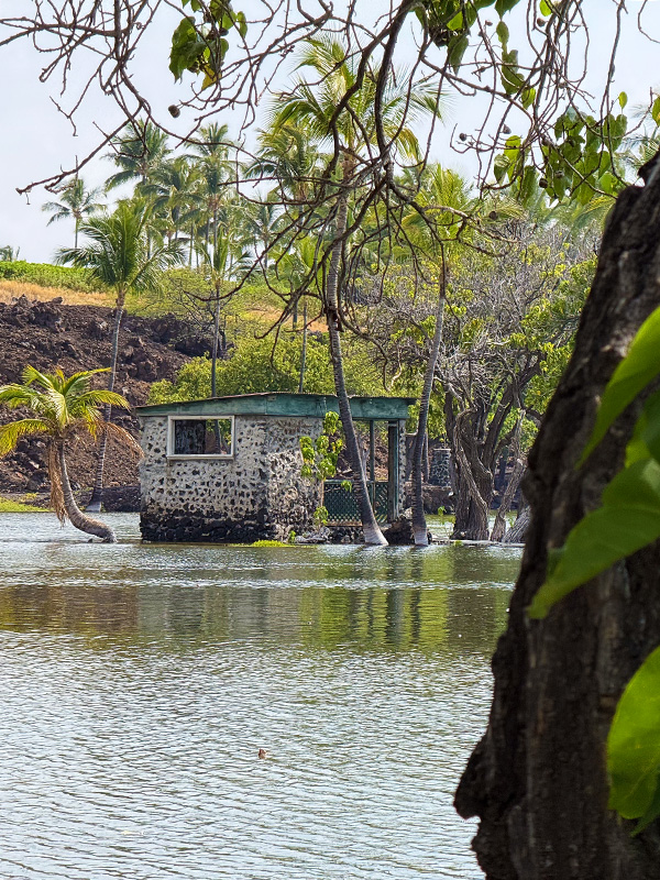 2025年8月ハワイ旅 第49話 □ 世界三大パワースポットと言われる