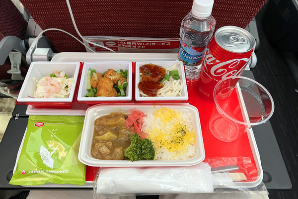 帰りの飛行機 4