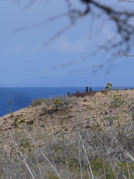 ハワイ島航海の学校だった遺跡 8