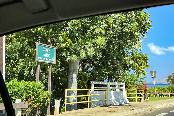 cove park kihei 1