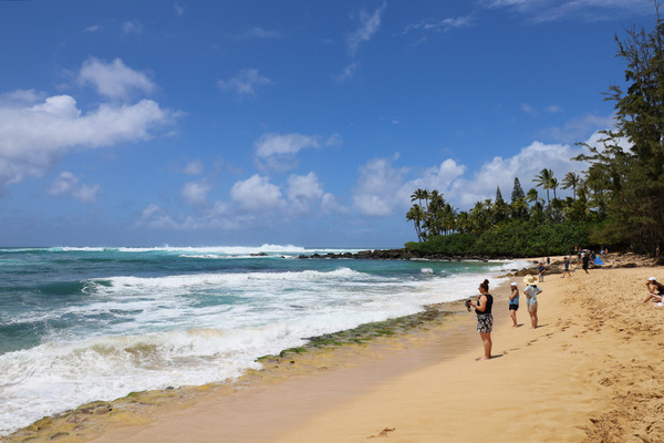 ラニアケアビーチにできた駐車場 6