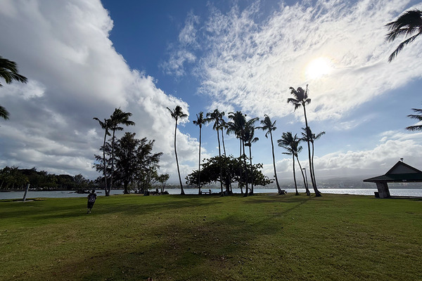 HILO coconuts island 3