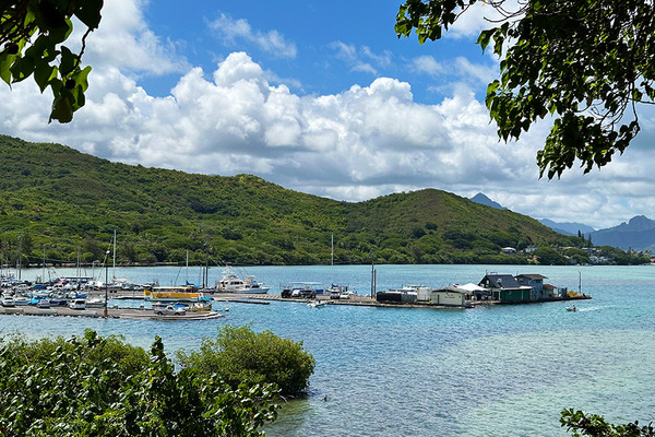 ヘエイアステートパークでランチ 3