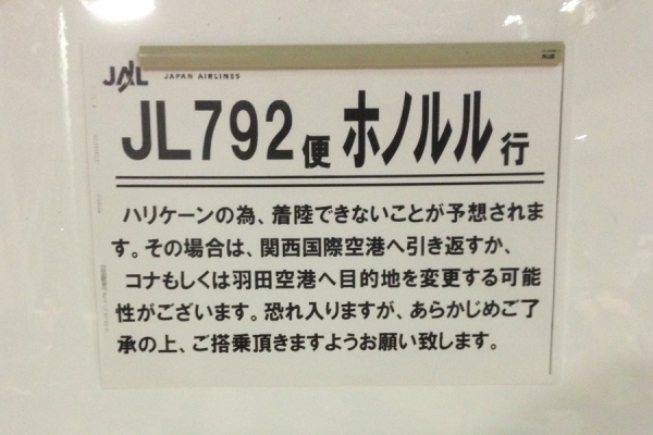 bee7de1a.jpg