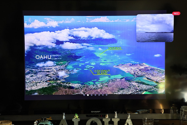 天国の海サンドバー ツアーでウミガメと遭遇 4