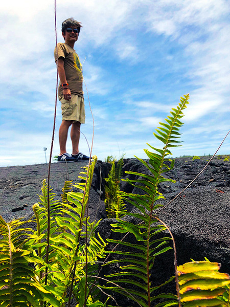 kalapana lavaground7