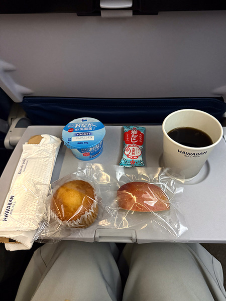 ハワイアン航空AS850 13