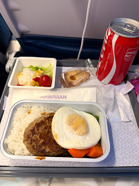 ハワイアン航空AS850 12