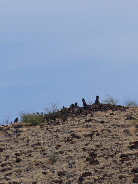 ハワイ島航海の学校だった遺跡 7