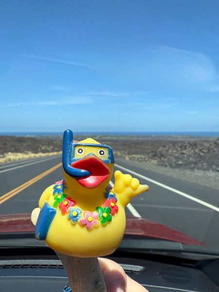 コハラコーヒー 7