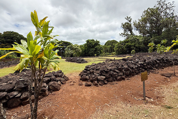 ハワイ癒しのパワースポット 4