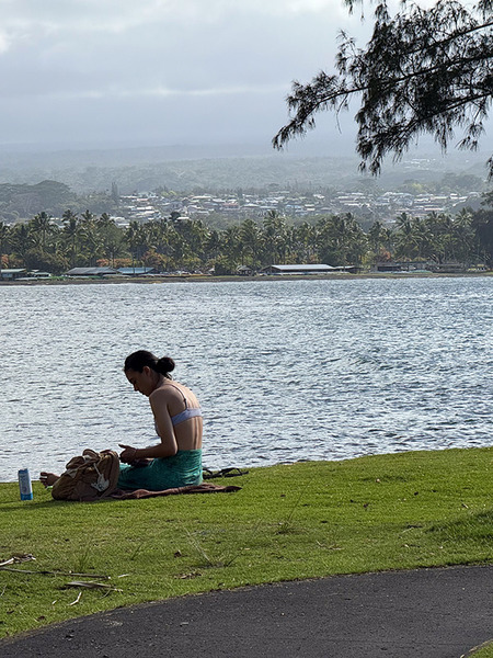 HILO coconuts island 5