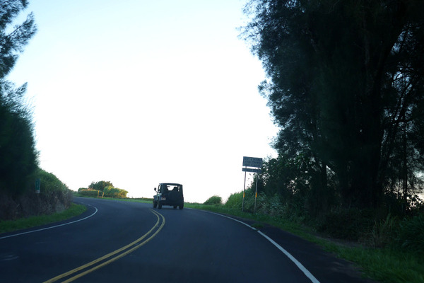 ハワイ島州道250号線山越えの道 5