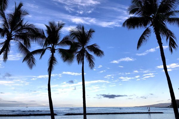 waikiki beach