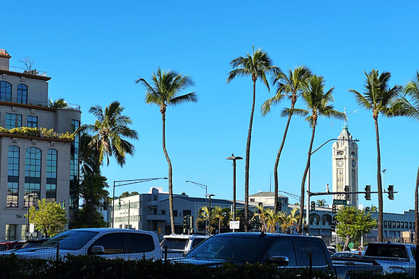 チャイナタウンの早朝 8
