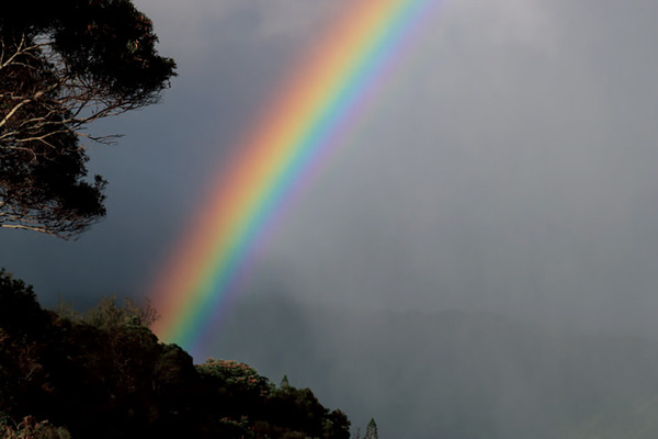 ハワイの虹アヌエヌエレインボー 3