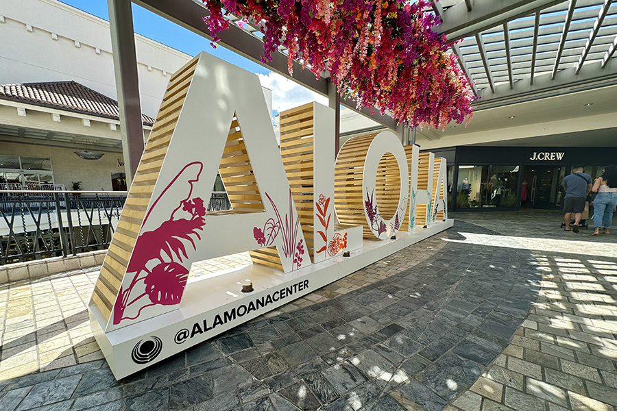 巨大ハワイアンアート 原画 真作 Ana Monaghan アナ・モナハン 額装 巨大ハワイアンアート 原画 真作 Ana Monaghan アナ・モナハン 額装