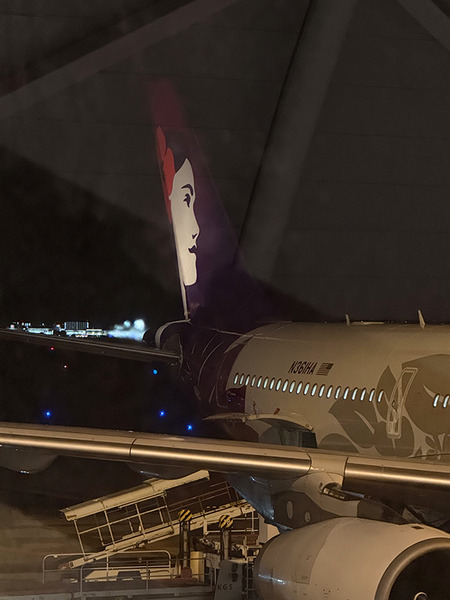 ハワイアン航空HAS850搭乗記!プレミアムシート・無料Wi-Fi・機内食を徹底紹介【関空→ホノルル】