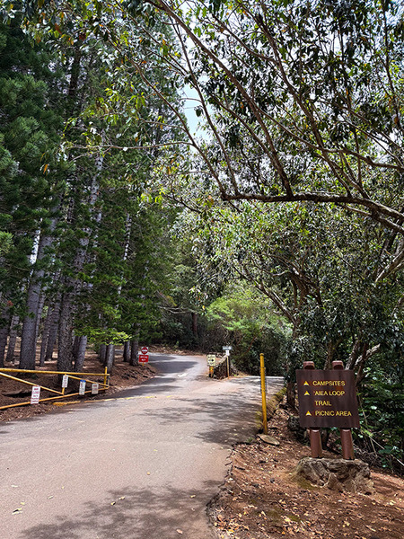 ハワイ癒しのパワースポット 8