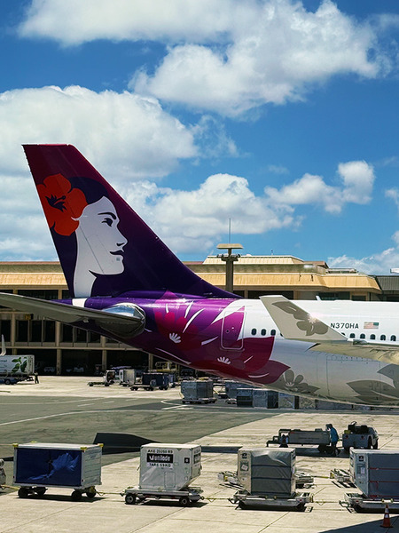 2026年夏ハワイのエアチケット 5