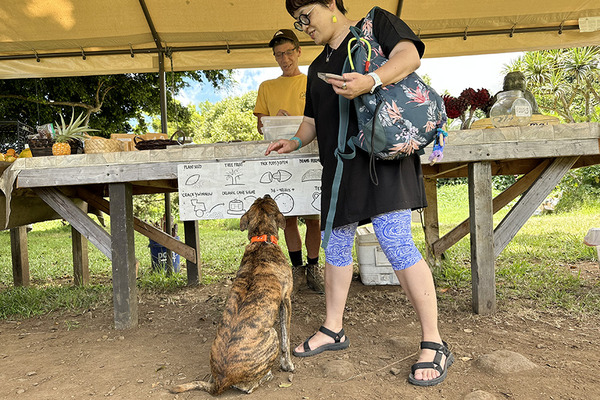eastmauichocolate 4
