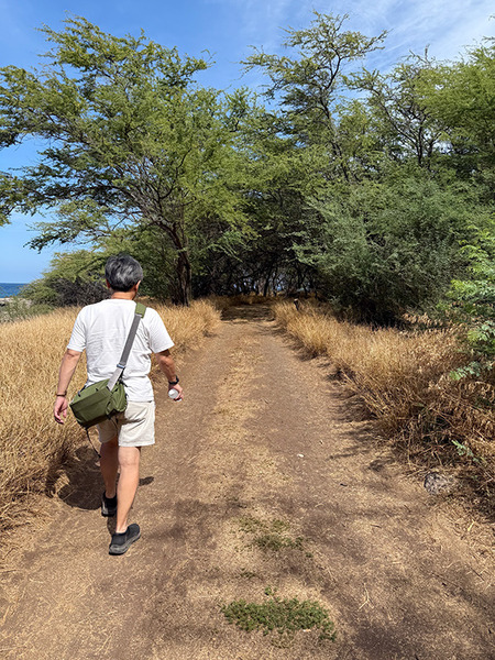 マフコナビーチパーク 7