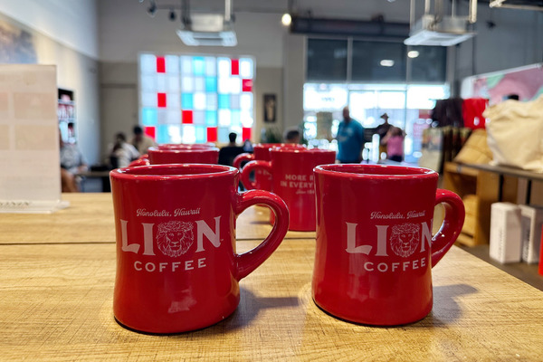 lioncoffee cafe store 13