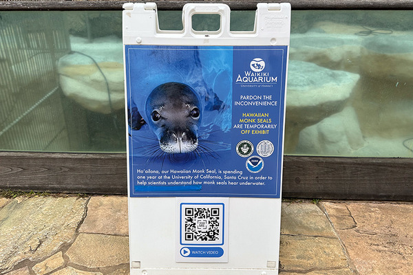 ワイキキ水族館 3