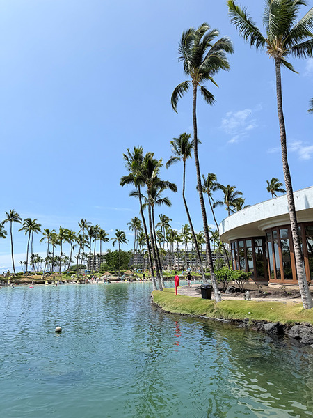 ヒルトンワイコロアビレッジ 7