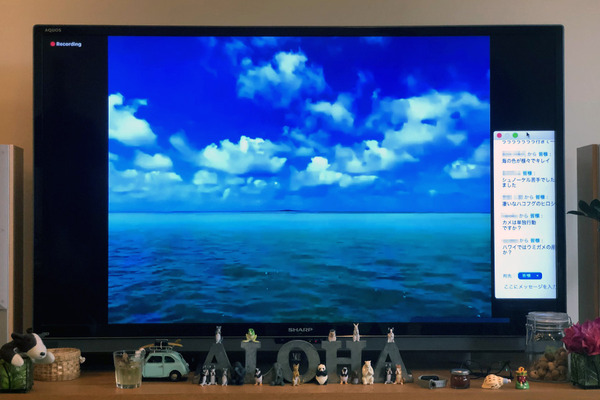 キャプテンブルース天国の海バーチャルツアー 5