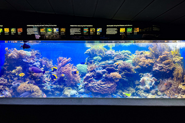 ワイキキ水族館 6