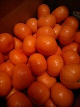 2007/12/9 和歌山から届いたみかん