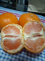 2007/12/9 和歌山から届いたみかん 2