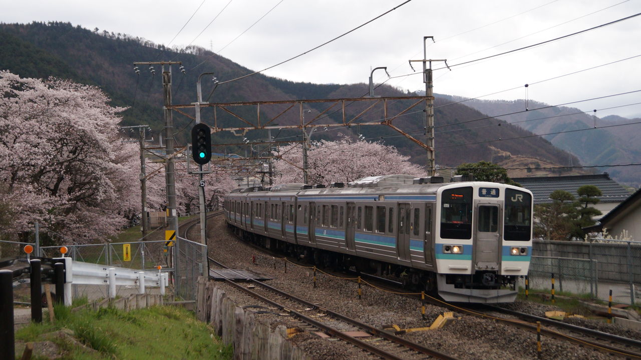 勝沼ぶどう郷駅の甚六桜と鉄道撮影記 鉄道とご当地キャラ多めブログ 仮 勝沼ぶどう郷駅の甚六桜と鉄道撮影記 鉄道とご当地キャラ多めブログ 仮