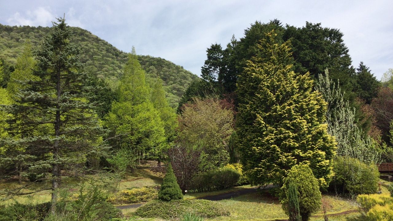 フォルクスガーデン リニューアルオープン 内藤兵衛 Talk About