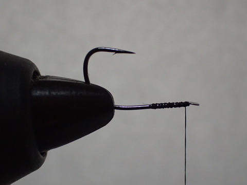 P3130194