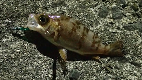 PC017473