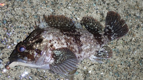 P7053163