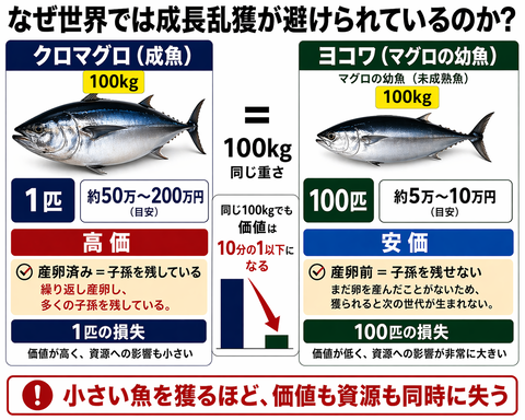 17525E9E-F5AF-4435-B46E-96B9A794130E