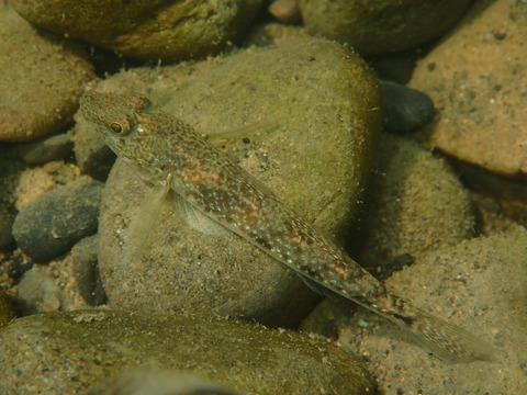 P8280964