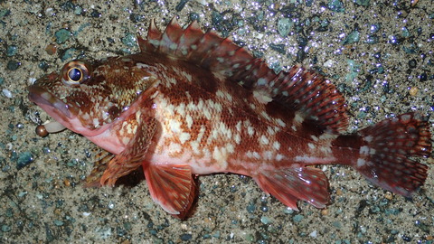 P7053162