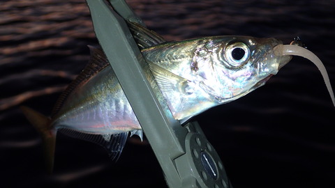 P5132896