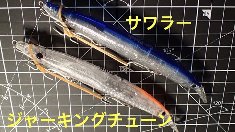P9253445